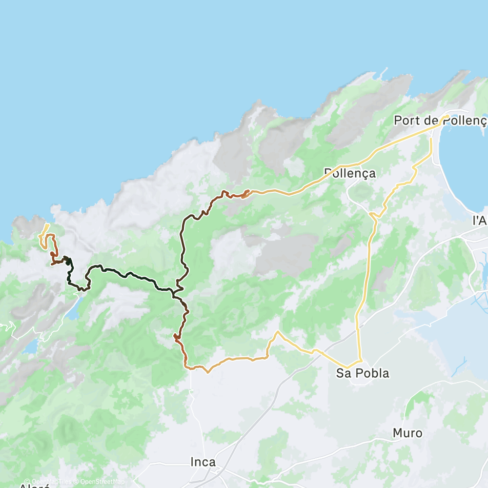 Map of the activity