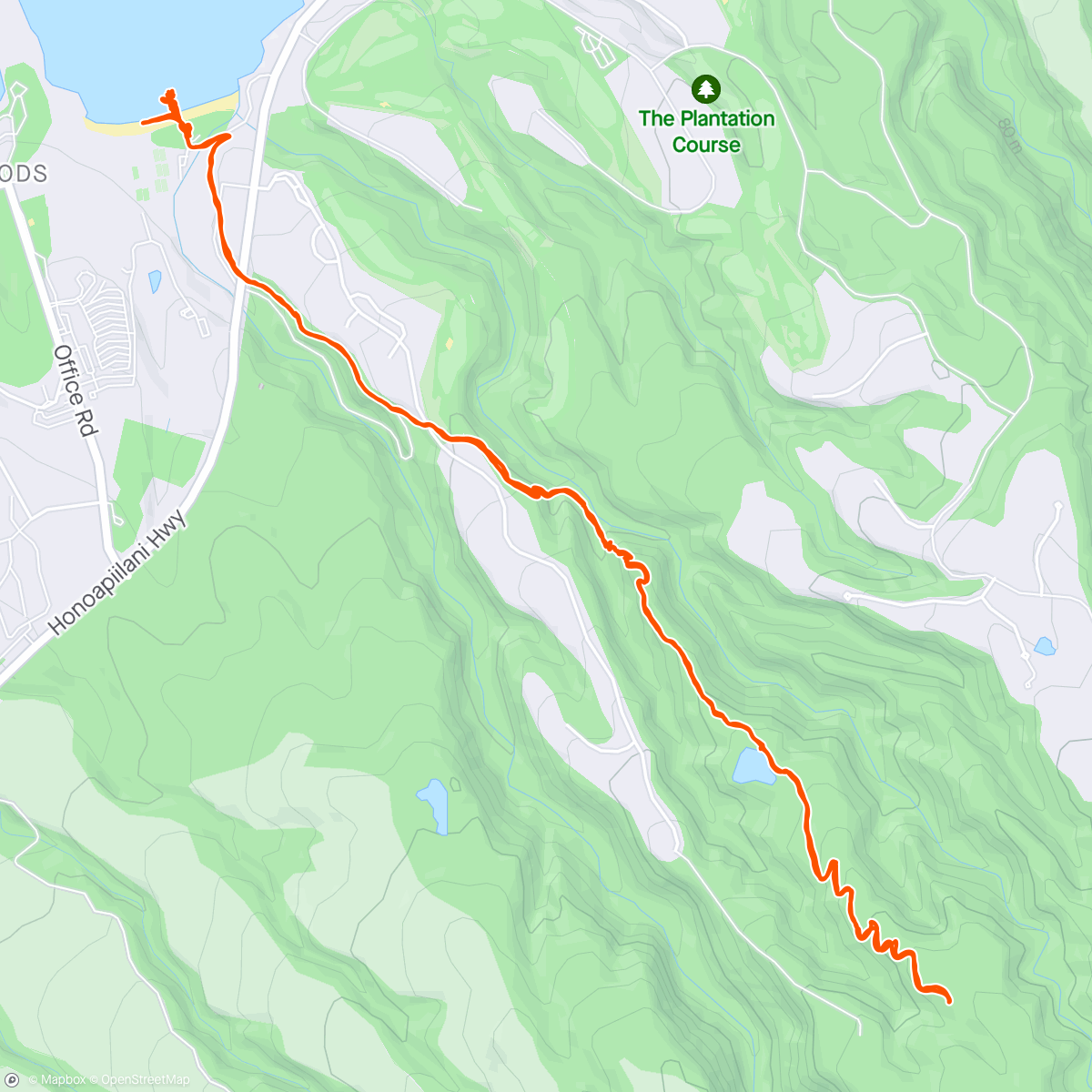 Map of the activity, Pineapple forest