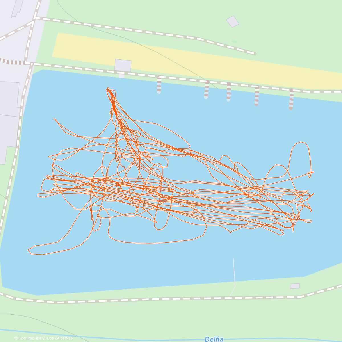 Карта физической активности (Delňa)