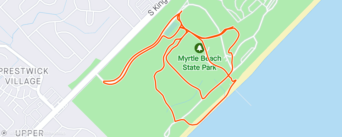 Карта физической активности (Lunch Run)
