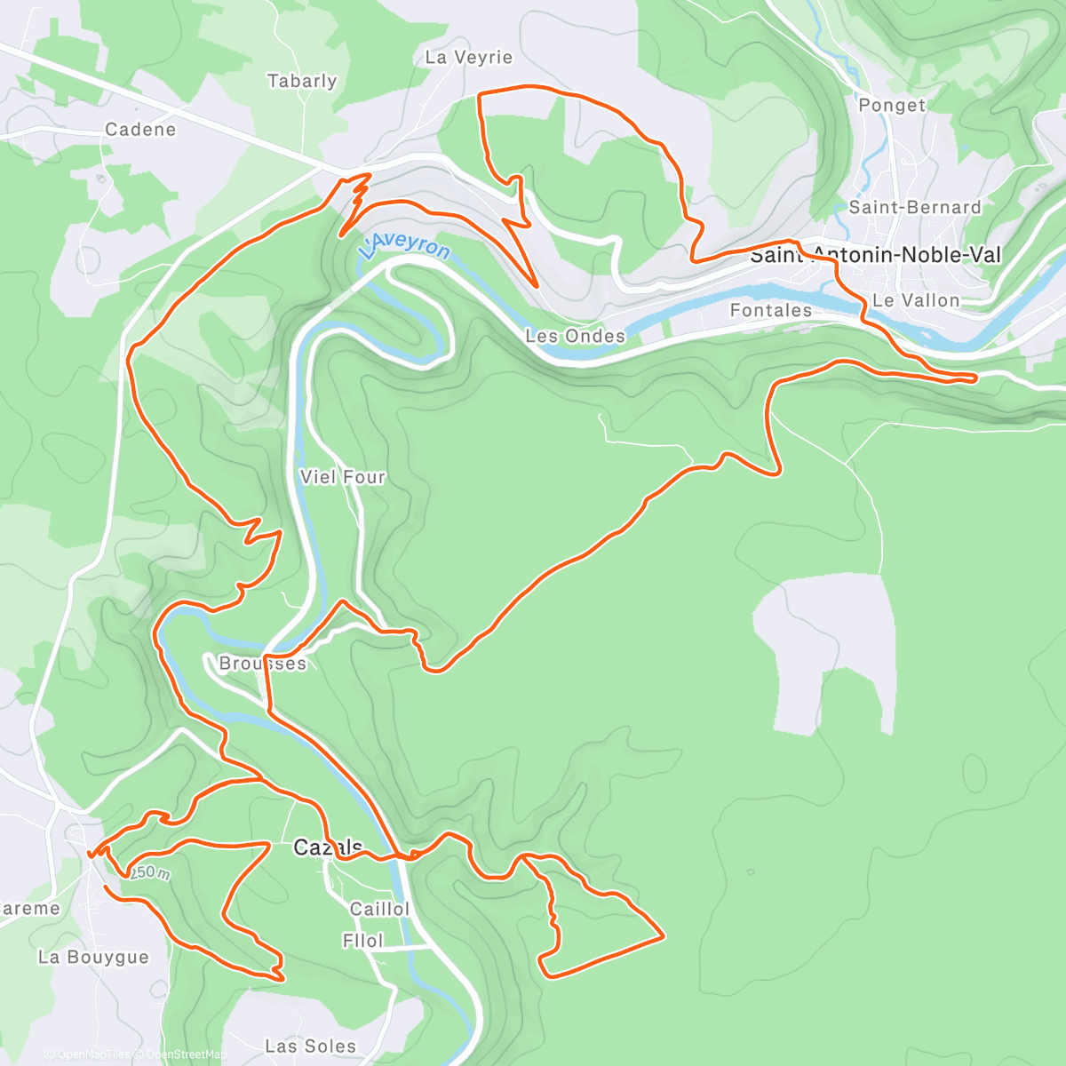 Map of the activity, Morning Ride