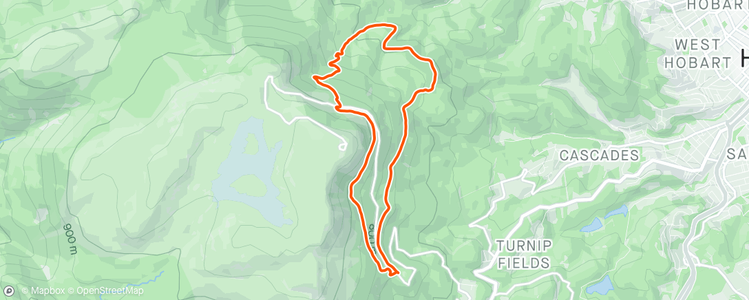 Map of the activity, Organ Pipes trail run