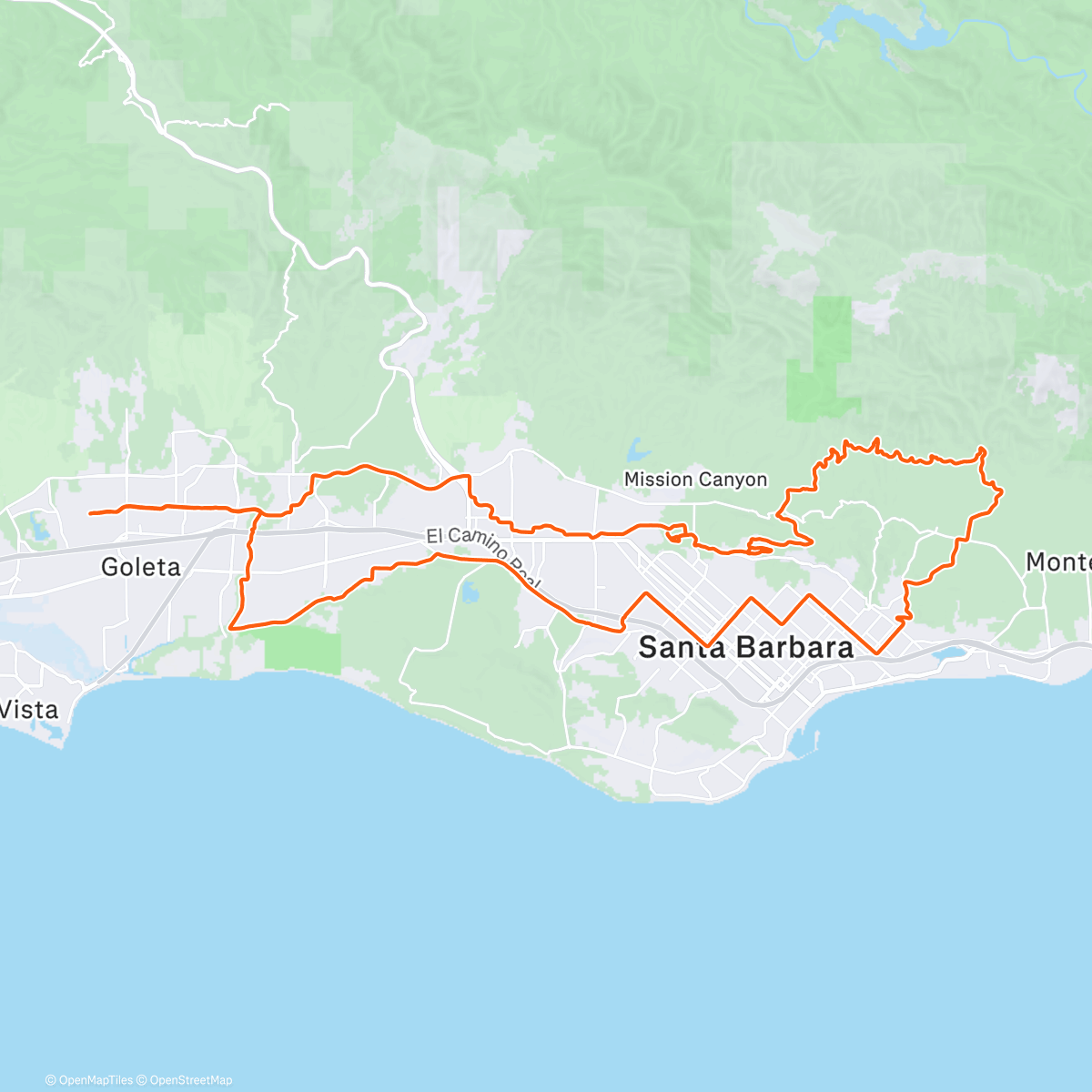 Карта физической активности (Kiss that frog)