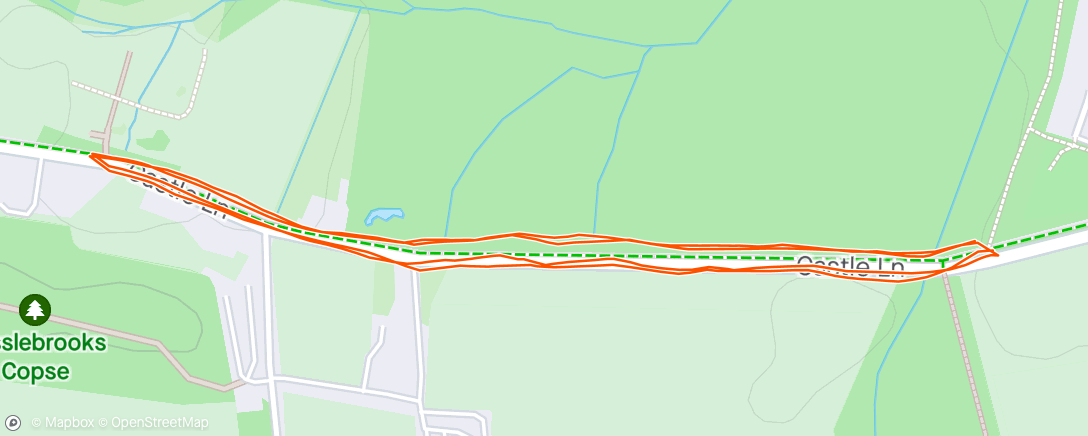 Map of the activity, Intervals: 4x1km