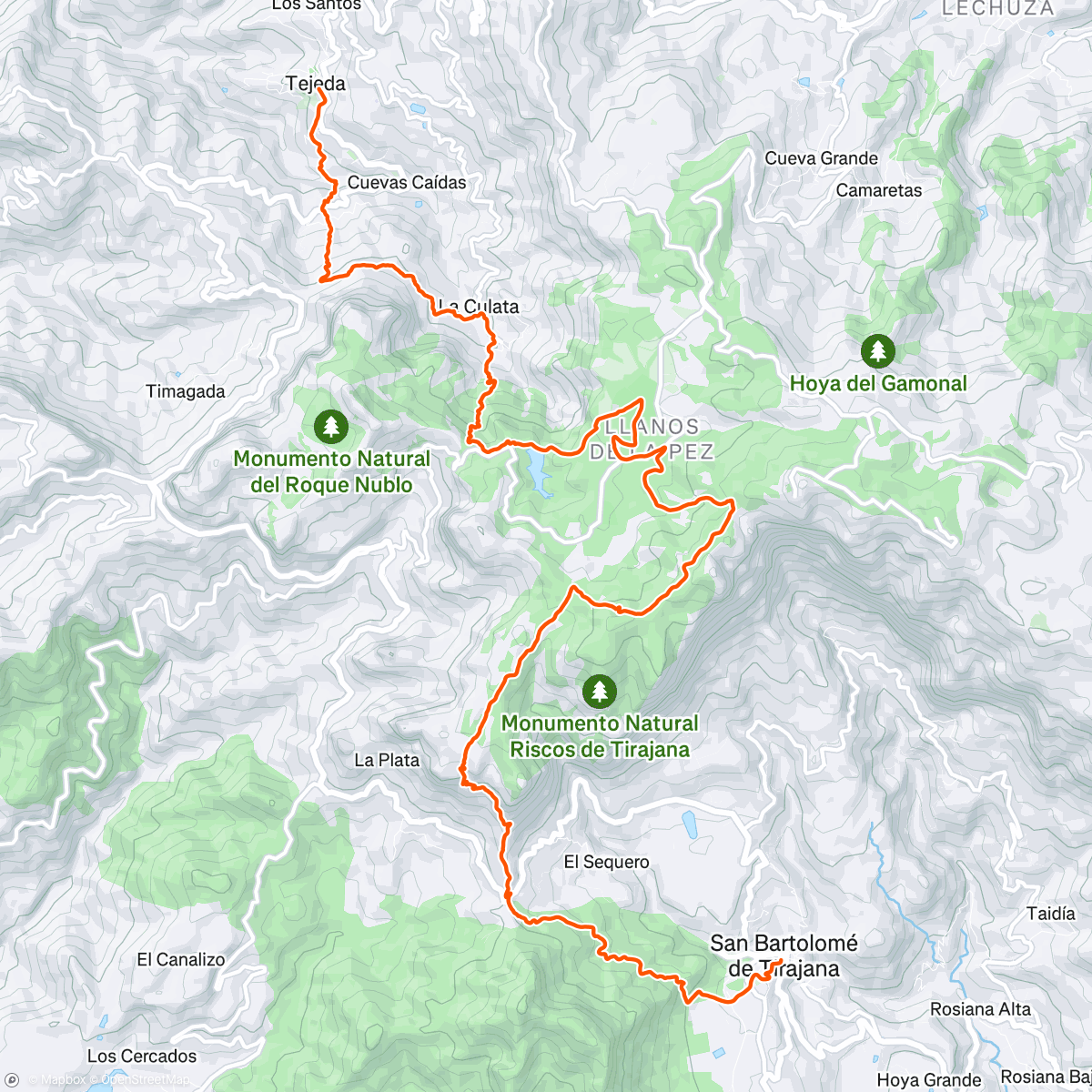 Map of the activity, Training Day 4: 21k Trans Gran Canaria 🐥⛰️