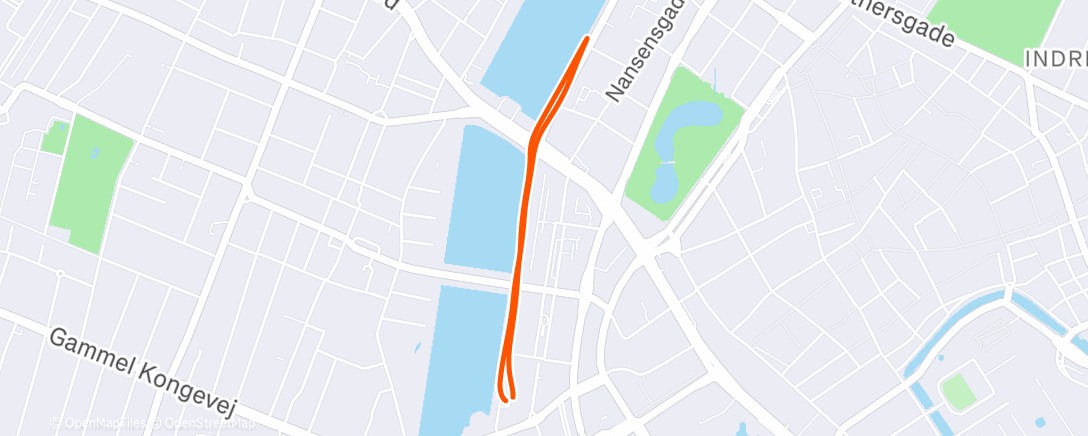 Карта физической активности (Morning Run)