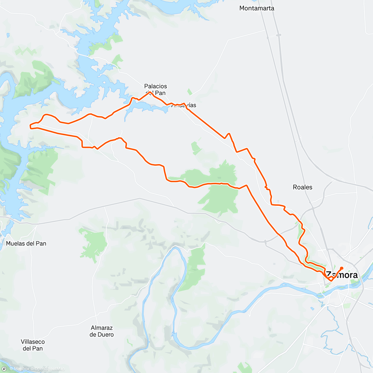 Map of the activity, Zamora - Bosque de Valorio - Finca de Palomares - Valdeperdices - Campillo (San Pedro de la Nave) - Almendra - Palacios del Pan - Andavías - La Hiniesta - Bosque de Valorio - Zamora