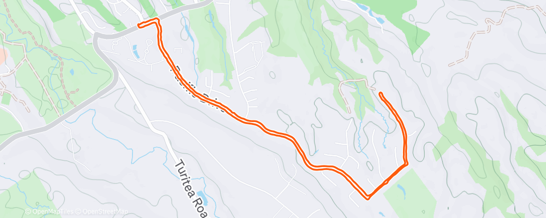 Карта физической активности (Morning Walk)