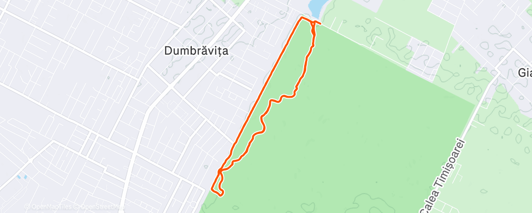 Карта физической активности (Lunch Run)