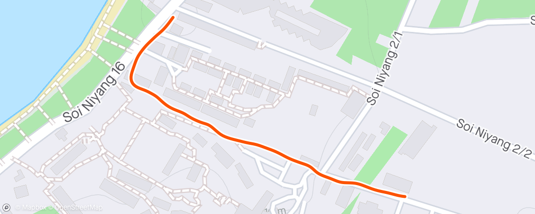 Mappa dell'attività Night Run
