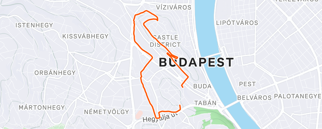 Карта физической активности (Lunch Run)