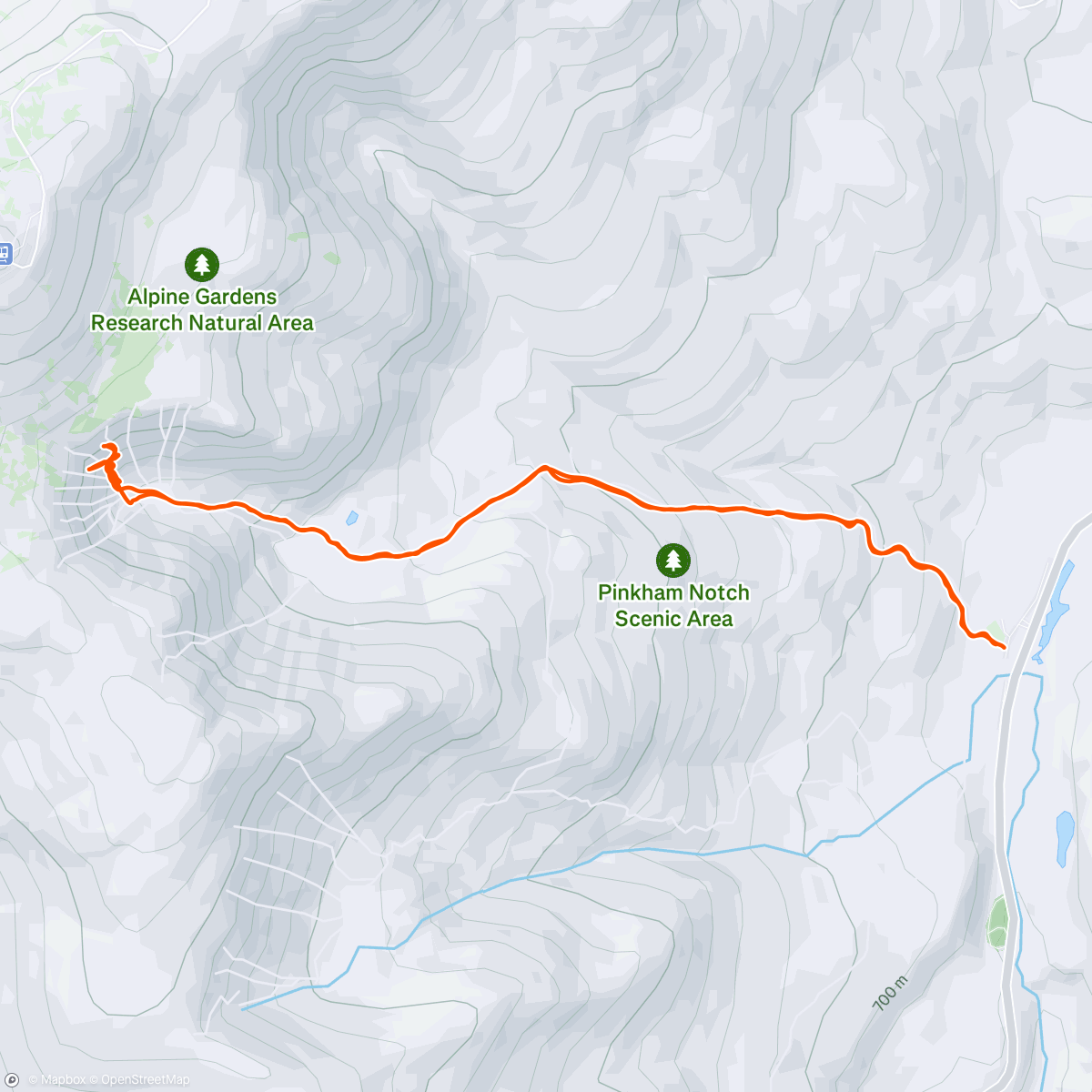 Map of the activity, Filling in