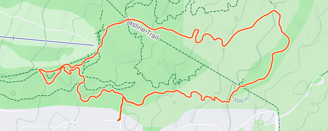 Карта физической активности (Do)