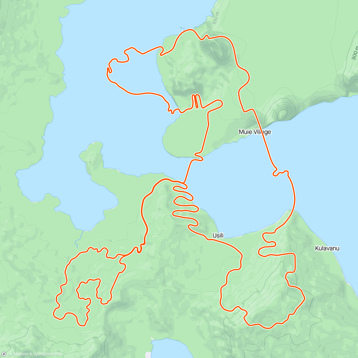 アクティビティ「Zwift - Big Loop in Watopia」の地図