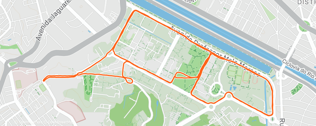 Cecilia Furlani | Strava Runner Profile