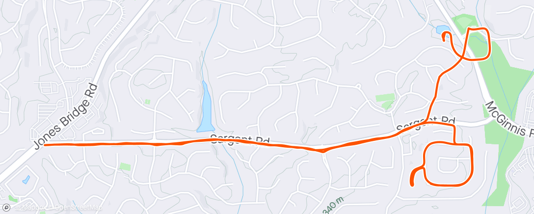 Map of the activity, Morning Run -  GPS Error