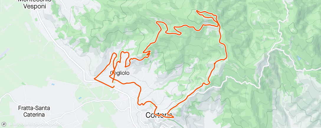 Map of the activity, GF del Syrah Cortona/ classic