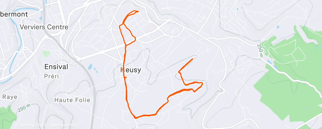 Map of the activity, Verviers - Volume 10K