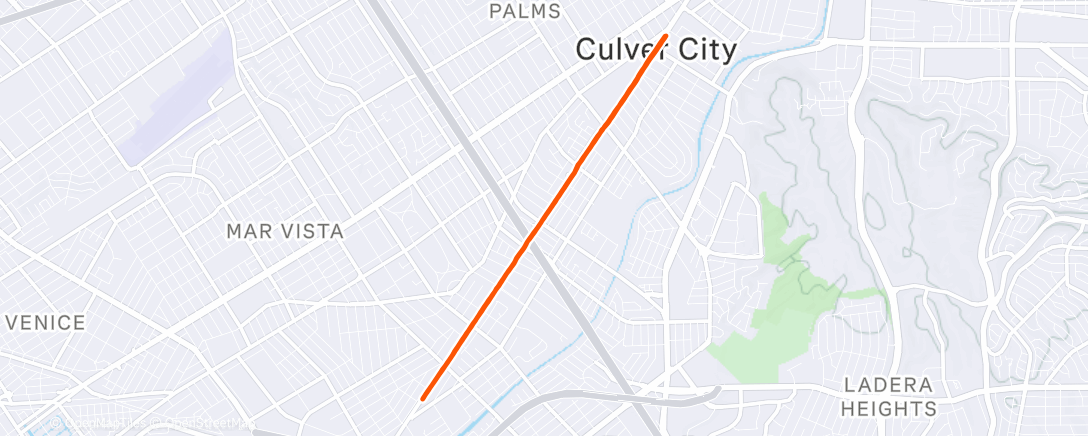 Map of the activity, Morning Run