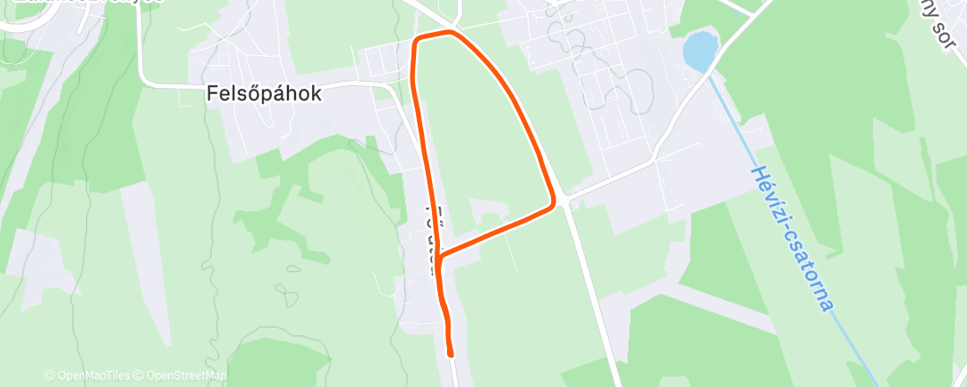 Карта физической активности (Morning Run)