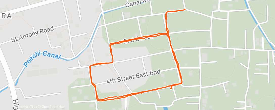Maya Gokulam | Strava Runner Profile