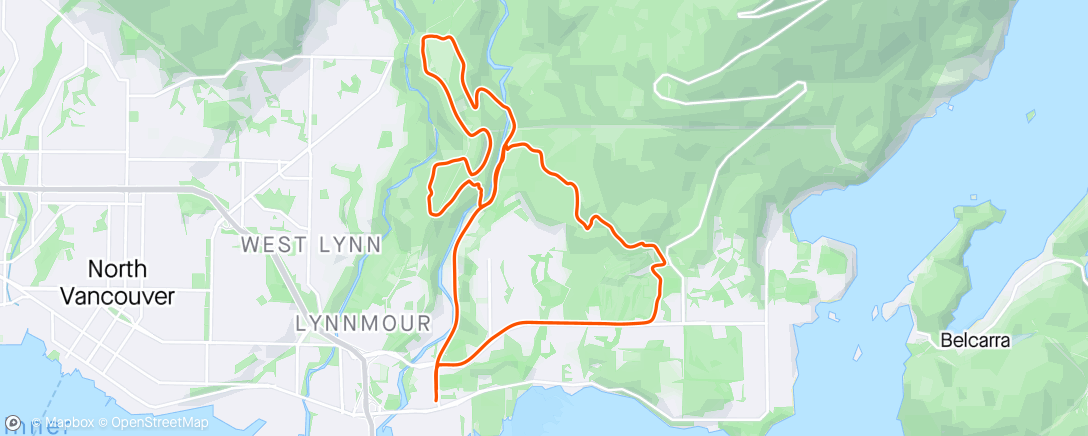 Map of the activity, Was this Leo’s run 🐶 or my ride 🚴‍♂️?