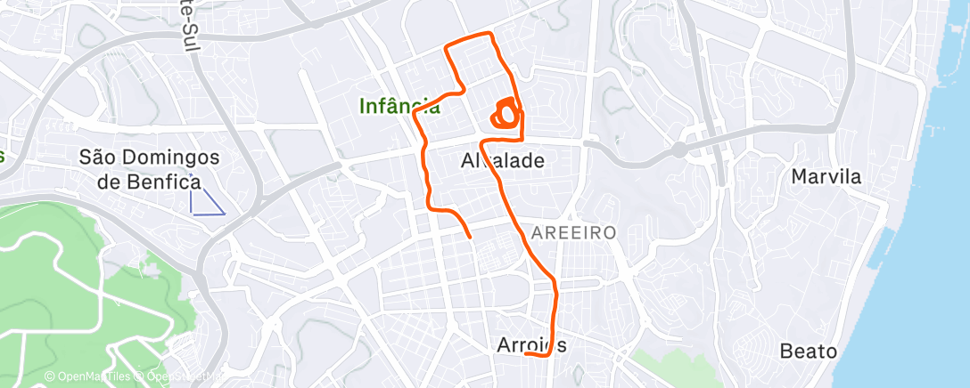 Map of the activity, ER