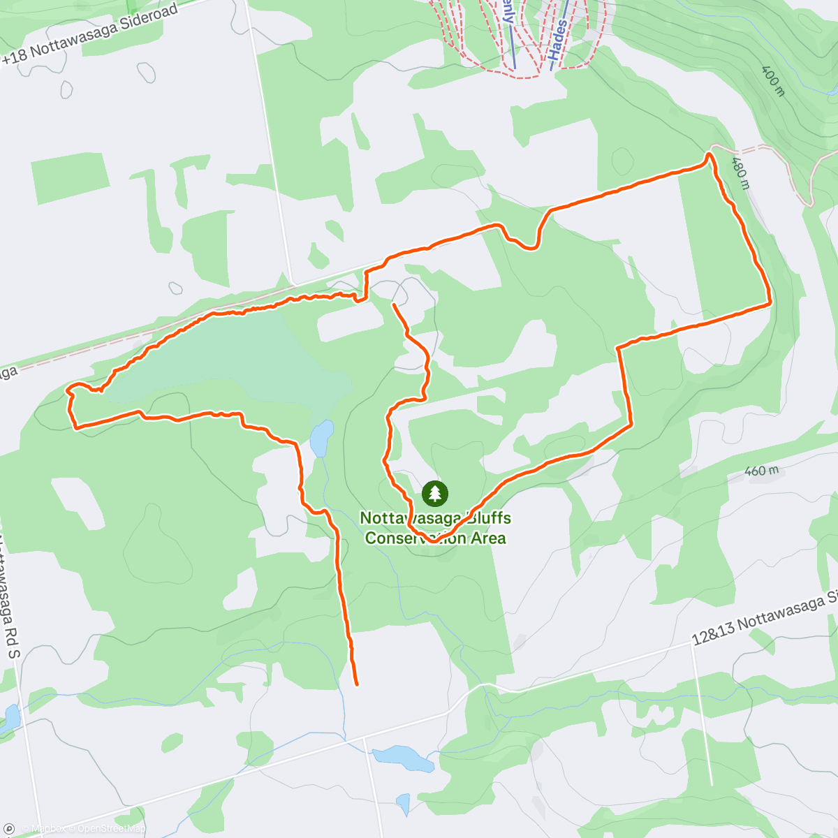 Map of the activity, Nottawasaga Bluffs hike with the Bruce Trail Club