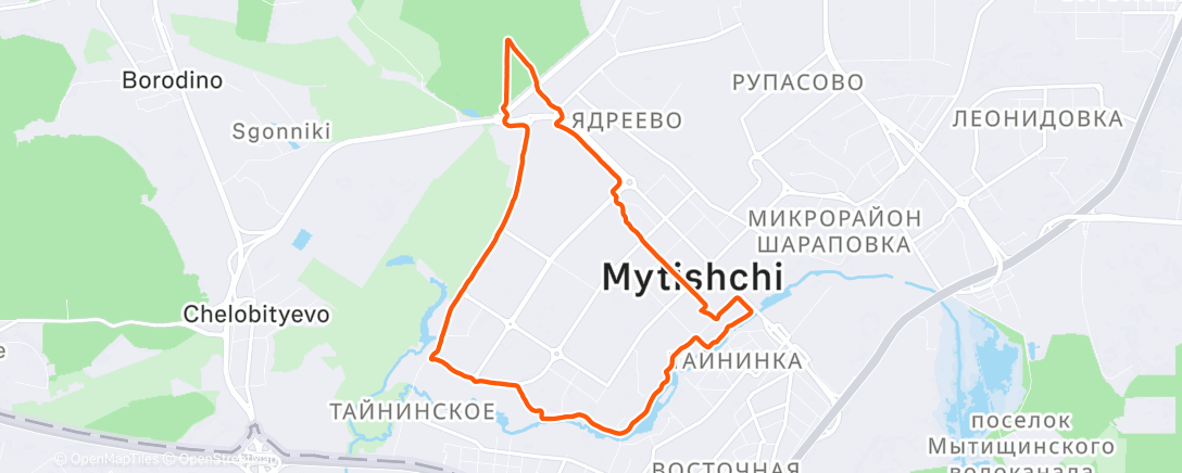 Карта физической активности (Утренний забег)