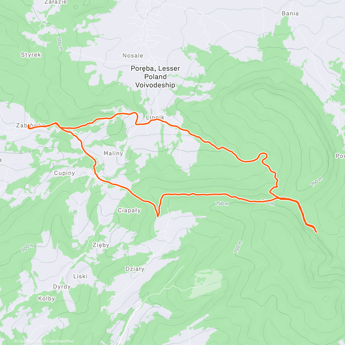 Map of the activity, Morning Run