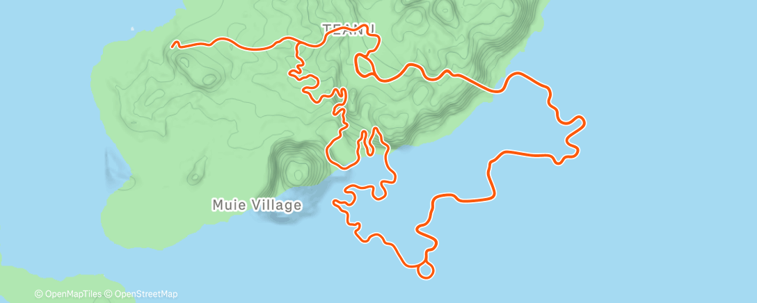 Map of the activity, Rulli