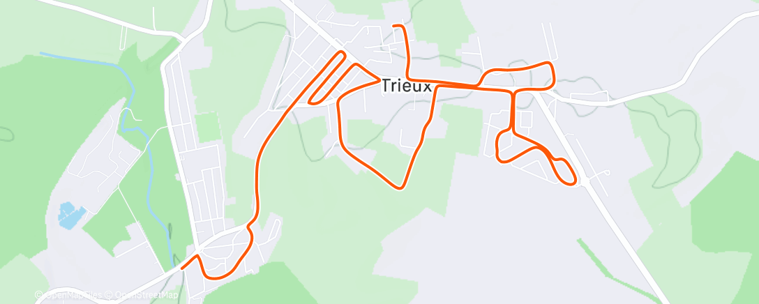 Карта физической активности (Course à pied le matin)