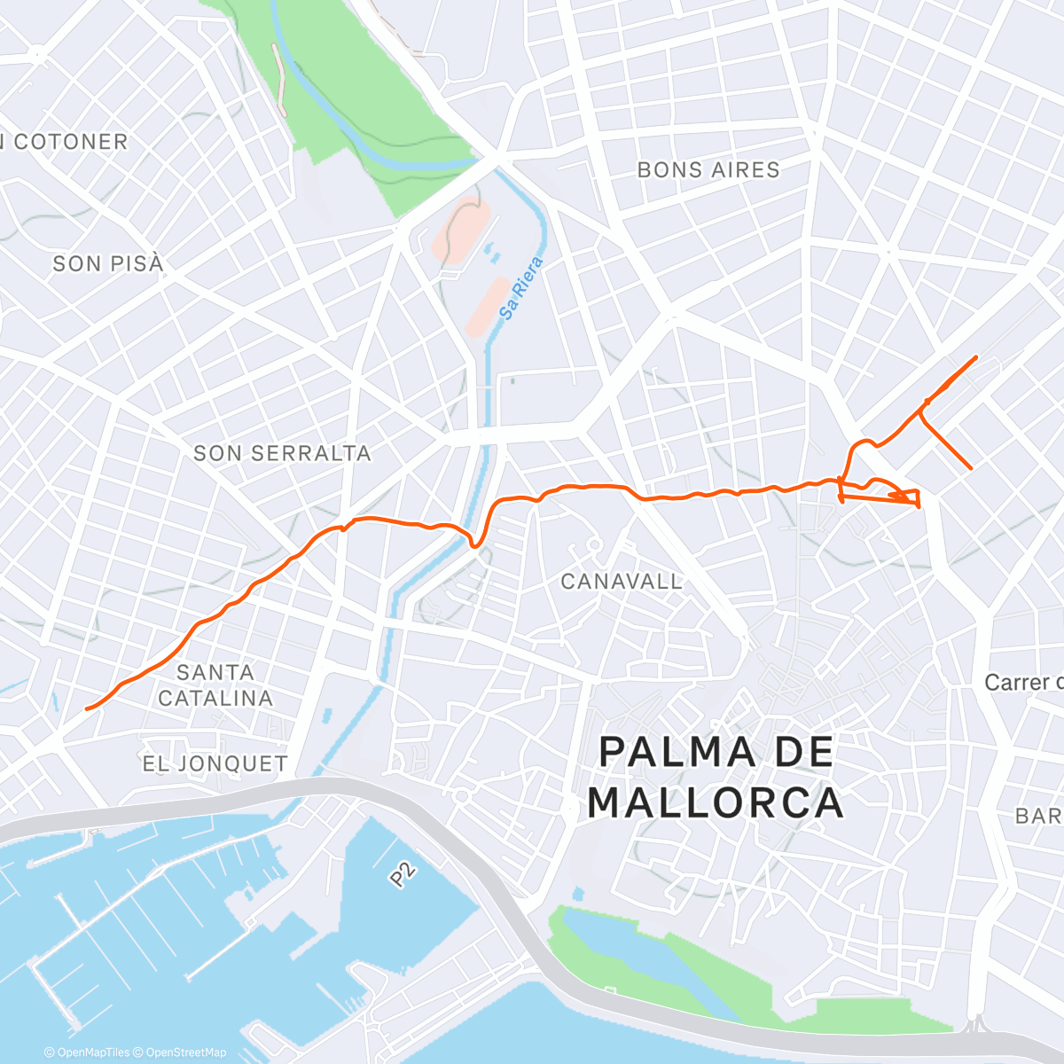 Map of the activity, Palma town