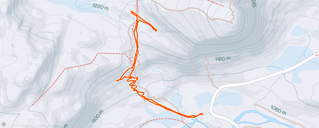 Map of the activity, Synshorn med gutta