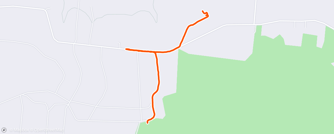 Map of the activity, Night Walk