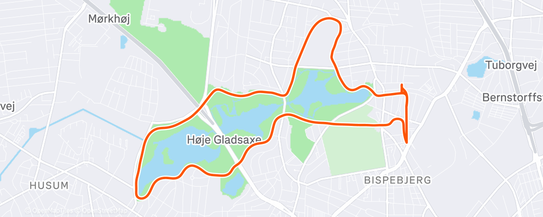 Map of the activity, Morning Run