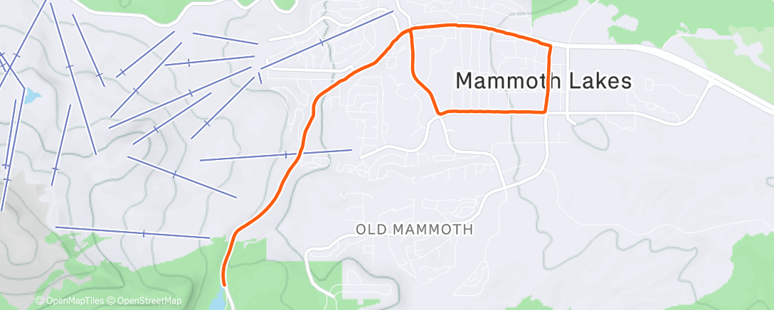 Карта физической активности (Afternoon Run)