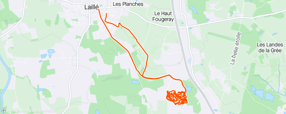 Map of the activity, Ecole VTT