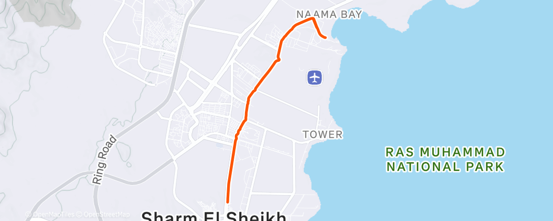 Карта физической активности (Morning Run)