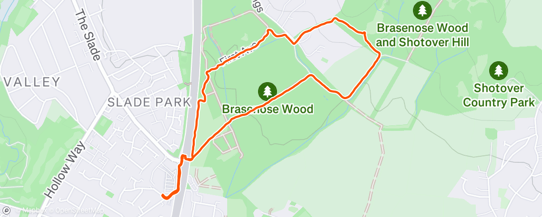 Map of the activity, Afternoon Walk