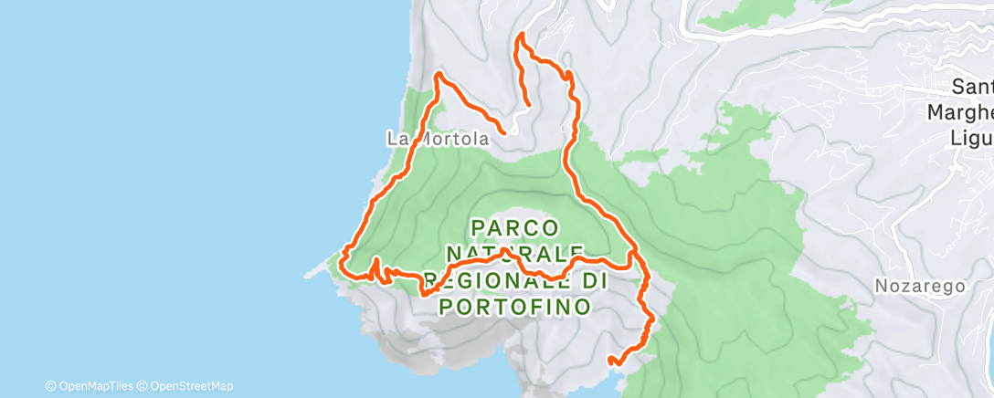 Карта физической активности (Sessione di trail running mattutina)