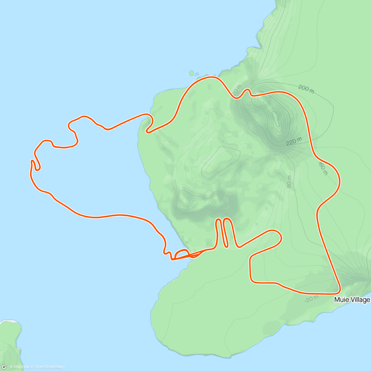 活动地图，Zwift - Pacer Group Ride: Volcano Flat in Watopia with Miguel