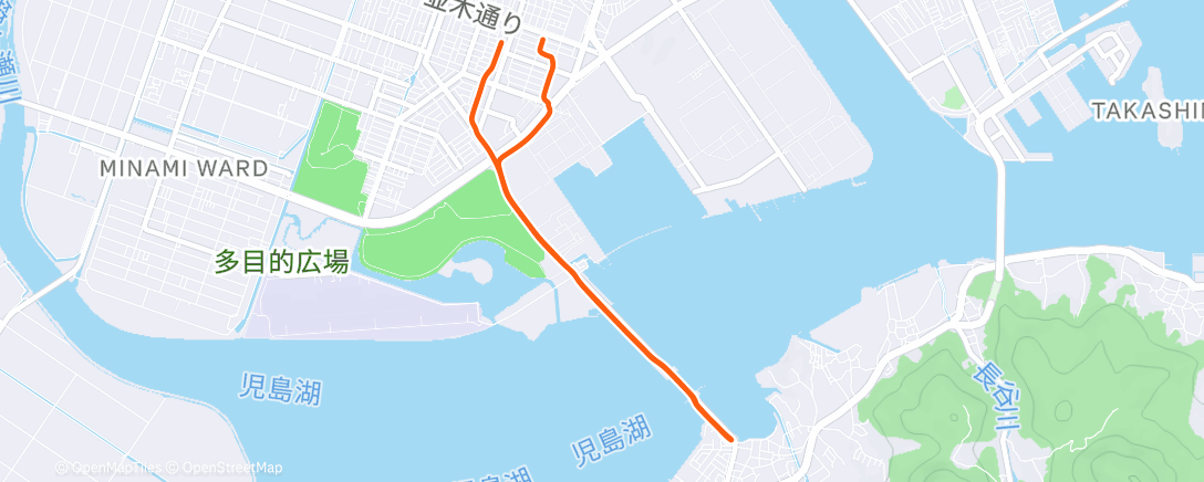 Map of the activity, 午後のランニング