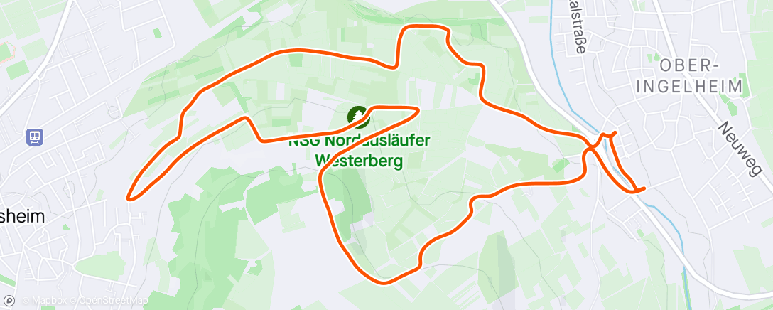 Map of the activity, Westerbergrunde 🐕‍🦺