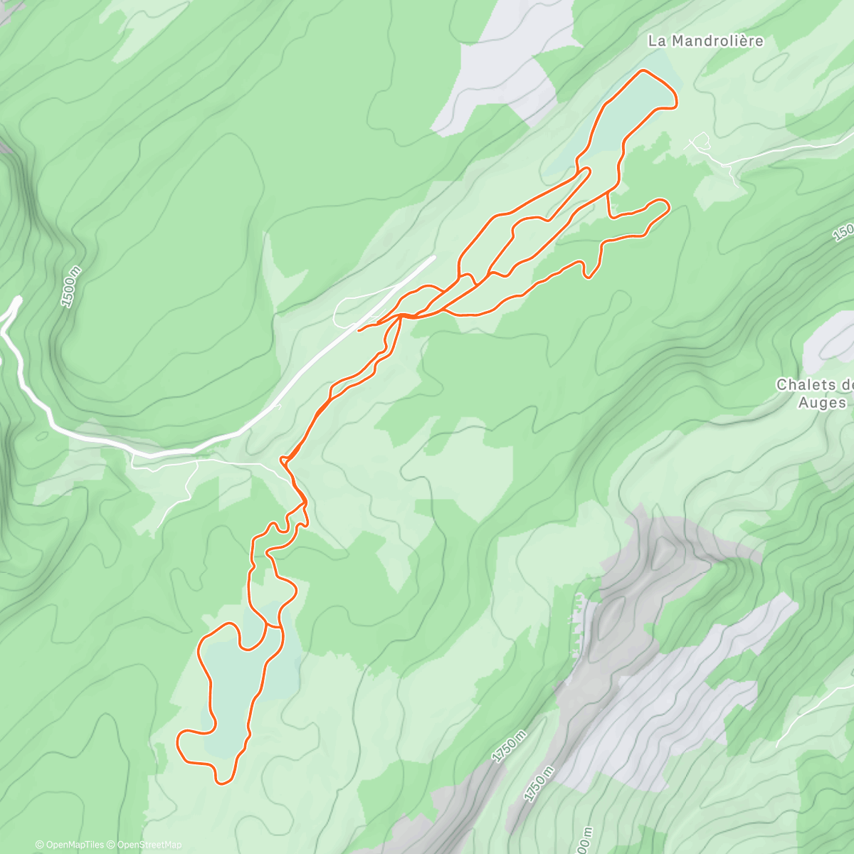 Map of the activity, SDF Glières