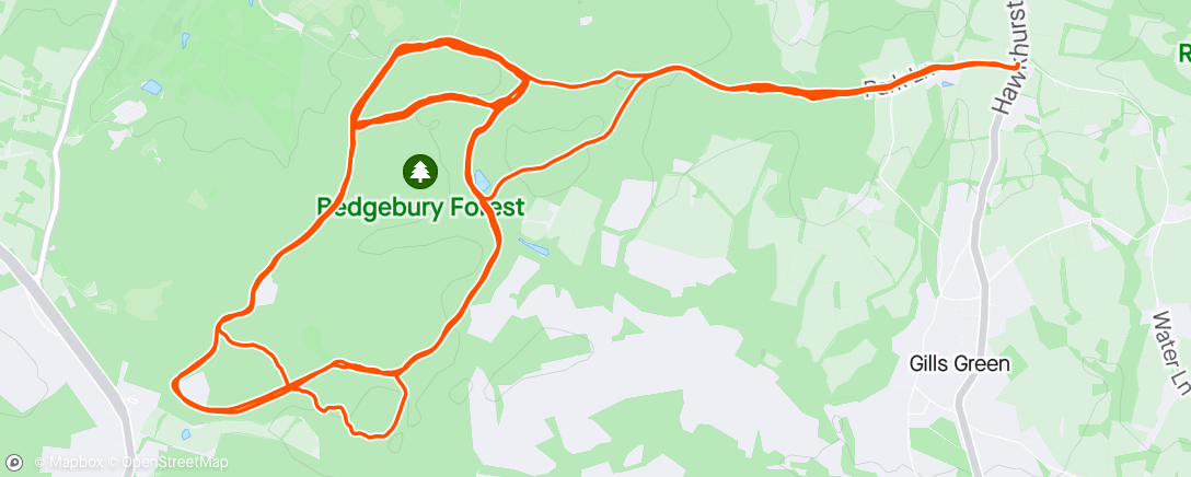Mapa da atividade, Bedgebury Forest Spring Training (Red and Blue routes)