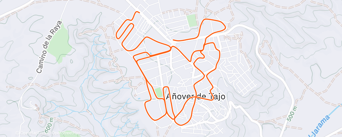 Карта физической активности (Morning Run)