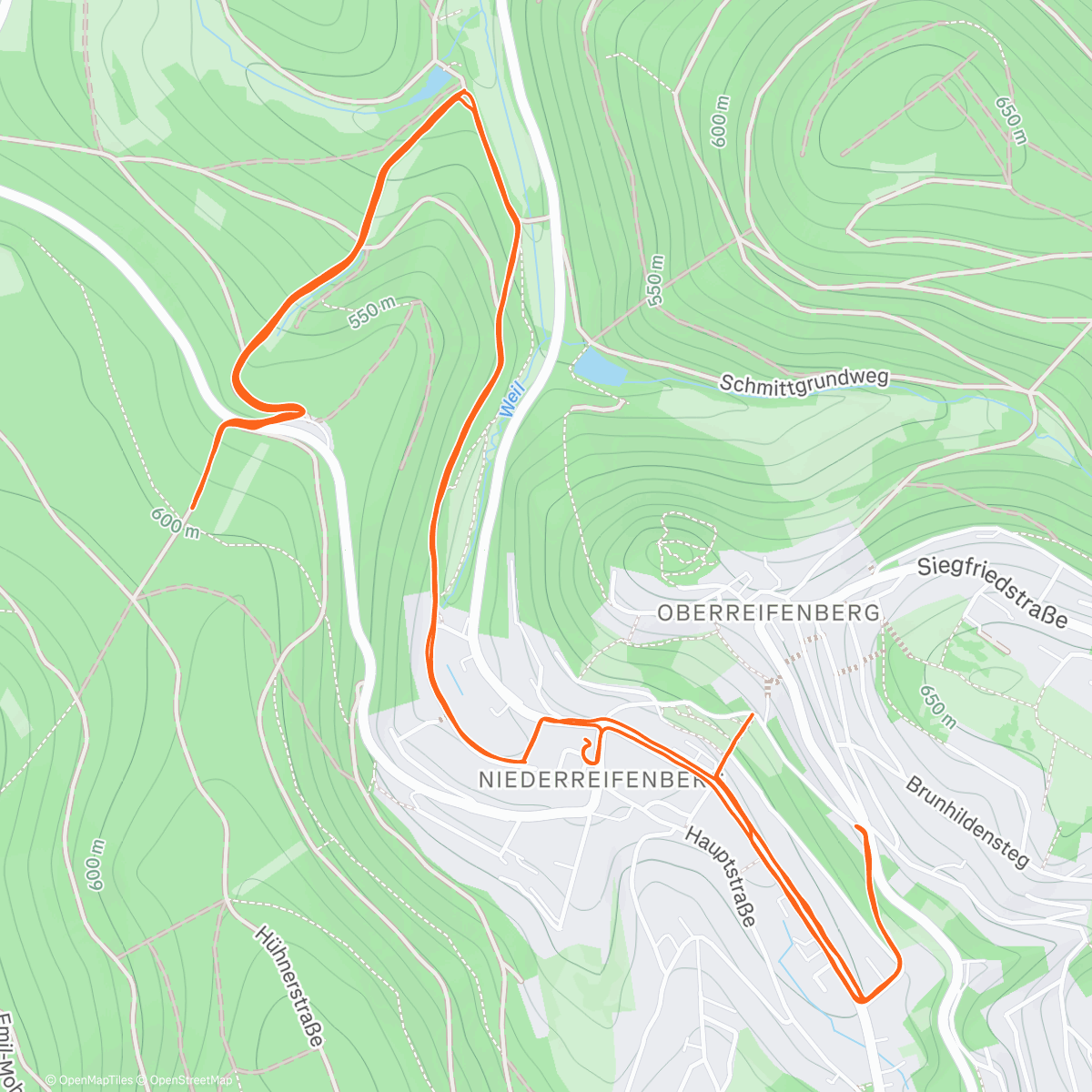 Карта физической активности (Taunustaler Xmas Höhenmeter  Battle 👑-1. teil😅Waldlauf nat. Dunkel😂und glatt..)