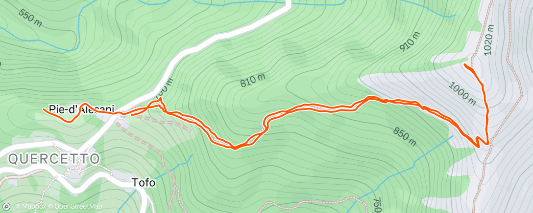 Map of the activity, Trail dans l'après-midi