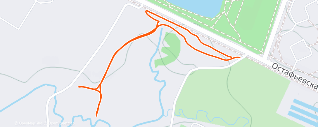 Карта физической активности (Afternoon Nordic Ski)